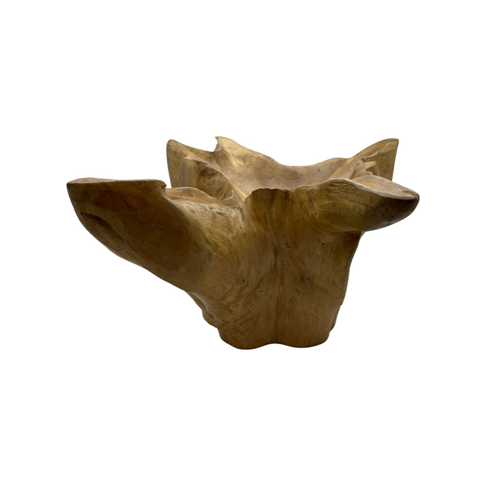 OCTOPUS DE MADEIRA 56CM
