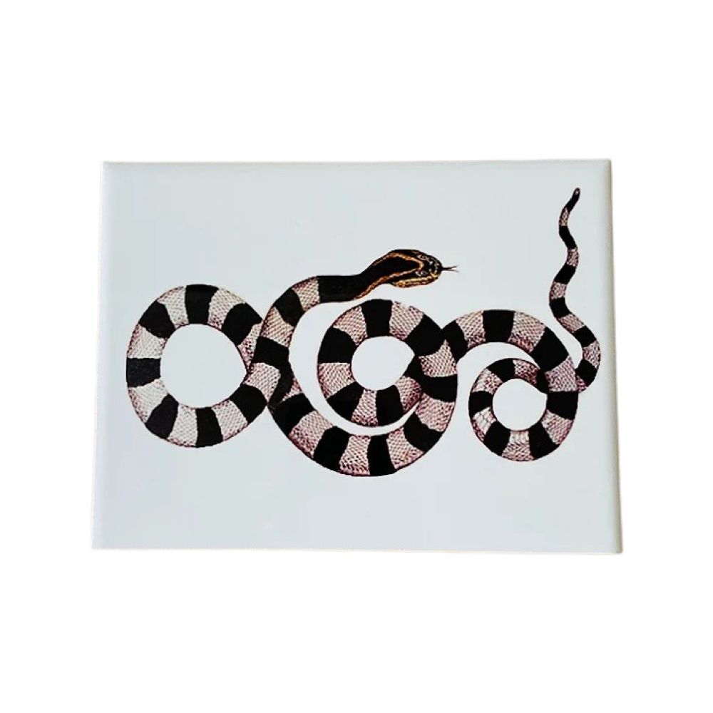 AZULEJO COBRA DE CERÂMICA 15X20CM GREGHI DESIGN