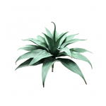 WN031-2-