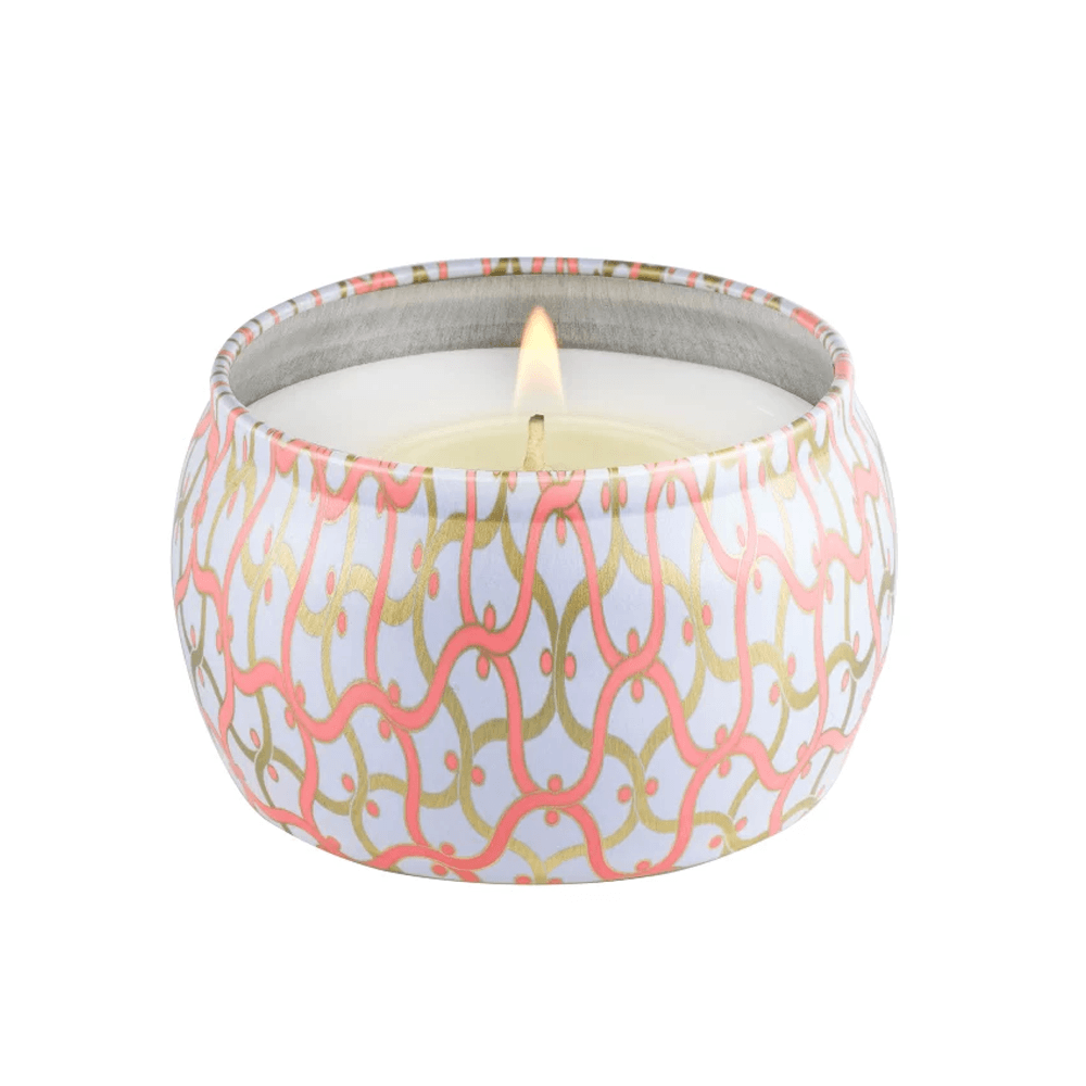 MINI VELA LATA 25H SAIJO PERSIMMON