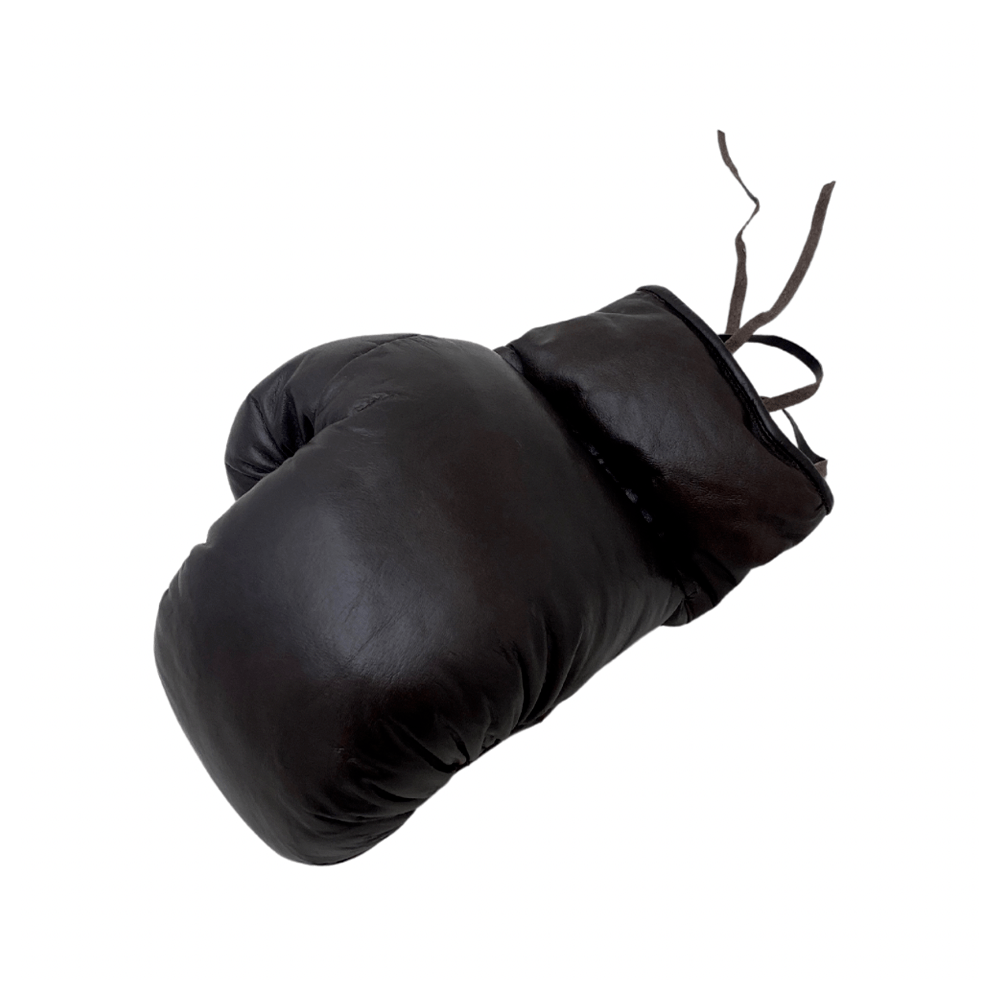 LUVA DE BOX DE COURO