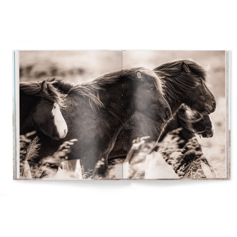 WU117-2-