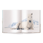 WU117-3-