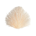 CD010.png