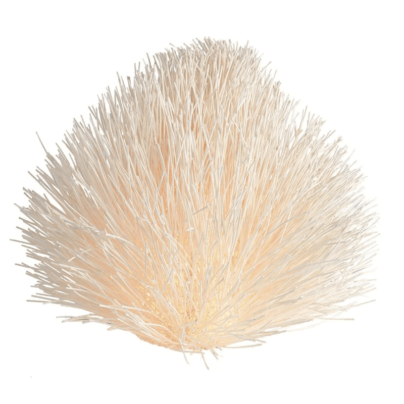 CD223.png