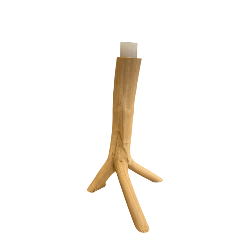 NM003-1-.png