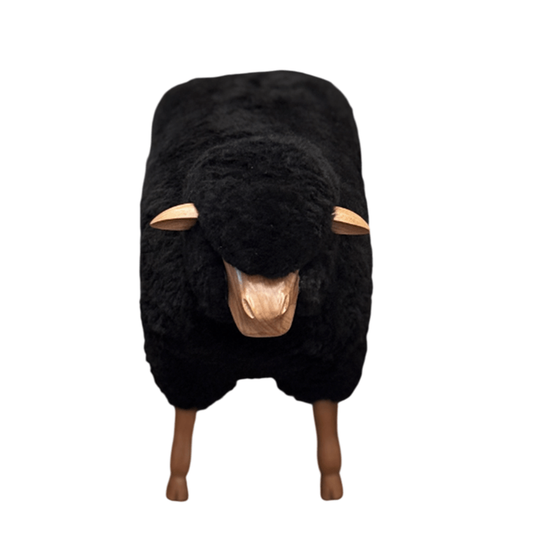 WS009-1-