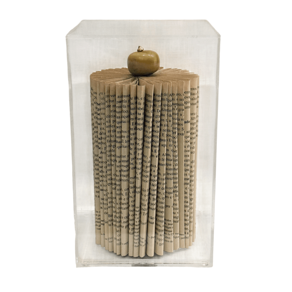 ESCULTURA LIVRO CARROSSEL DE ACRÍLICO 22CM